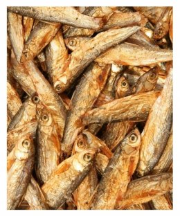 Suszone rybki dla ryb, gadów i płazów Stynka "stinte" 100 g