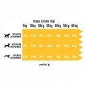 Sucha karma dla psa Wiejska Zagroda indyk z jagnięciną 1 kg