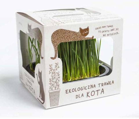 Kot w butach Ekologiczna trawka dla kotów
