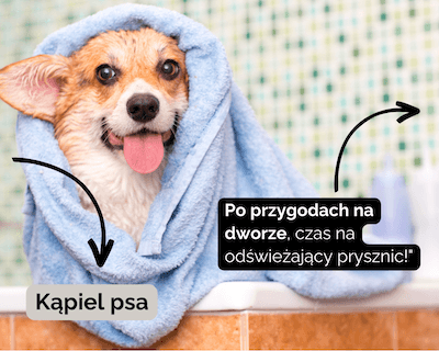 artykuły do kąpieli psa